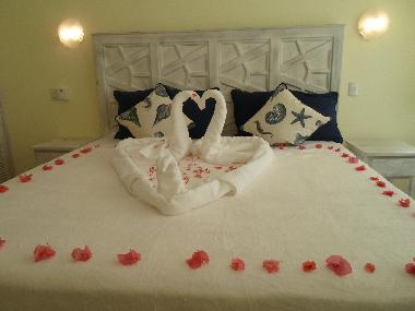 Holiday Apartment in Las Terrenas Playa las Ballenas (Samana) or holiday homes and vacation rentals