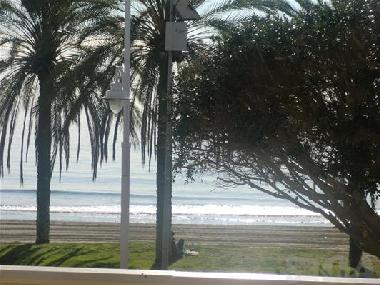 VIEWS FROM THE TERRACE