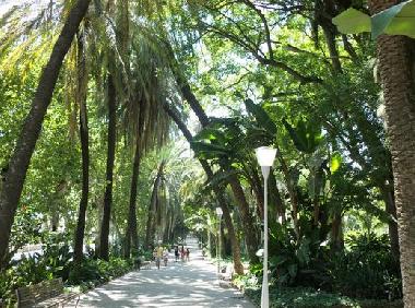 Holiday Apartment in MALAGA (Mlaga) or holiday homes and vacation rentals