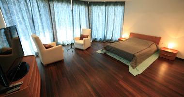 Villa in Blato (Dubrovacko-Neretvanska) or holiday homes and vacation rentals