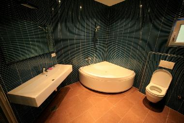 Villa in Blato (Dubrovacko-Neretvanska) or holiday homes and vacation rentals