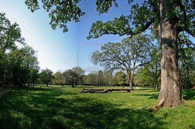 Holiday Apartment in PULA (Istarska) or holiday homes and vacation rentals