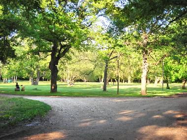 Holiday Apartment in PULA (Istarska) or holiday homes and vacation rentals