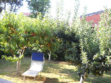 Holiday Apartment in PULA (Istarska) or holiday homes and vacation rentals