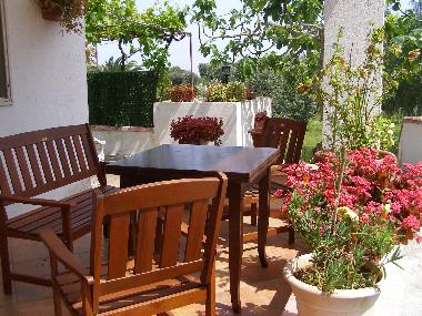 Holiday House in Carovigno (Brindisi) or holiday homes and vacation rentals