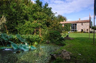 Villa in Bagnoregio (Viterbo) or holiday homes and vacation rentals