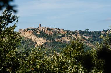 Villa in Bagnoregio (Viterbo) or holiday homes and vacation rentals