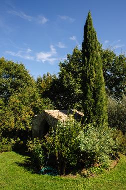 Villa in Bagnoregio (Viterbo) or holiday homes and vacation rentals