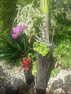 Chalet in Sosua (Puerto Plata) or holiday homes and vacation rentals