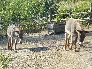 Chalet in Tagliacozzo (L