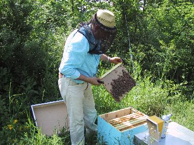 Chalet in Tagliacozzo (L