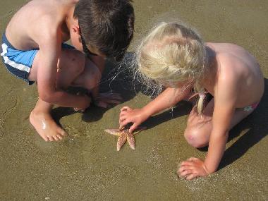 Holiday House in Zoutelande (Zeeland) or holiday homes and vacation rentals