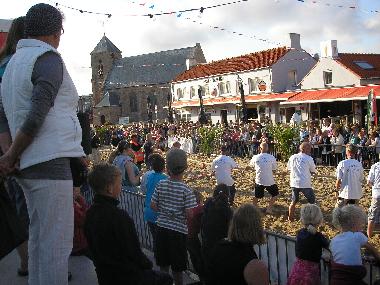 Holiday House in Zoutelande (Zeeland) or holiday homes and vacation rentals
