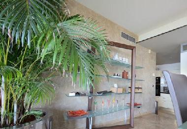 Bed and Breakfast in Vallauris (Alpes-Maritimes) or holiday homes and vacation rentals