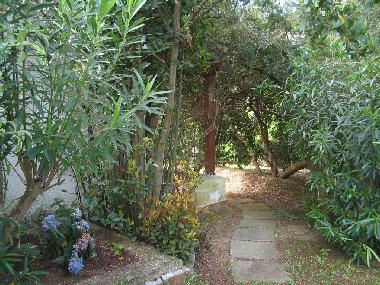 Villa in Santa Margherita Pula (Cagliari) or holiday homes and vacation rentals