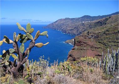 Villa in Tijarafe (La Palma und El Hierro) or holiday homes and vacation rentals