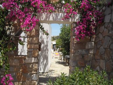 Holiday Apartment in Syros (Kyklades) or holiday homes and vacation rentals