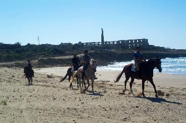 Holiday Apartment in SAMPIERI (Scicli) (Ragusa) or holiday homes and vacation rentals