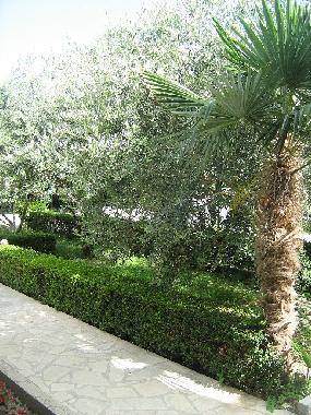 Holiday Apartment in Omi (Splitsko-Dalmatinska) or holiday homes and vacation rentals