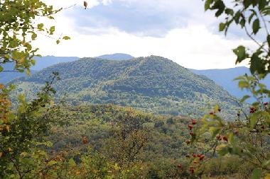 Holiday House in Kryvenik (Gabrovo) or holiday homes and vacation rentals