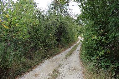 Holiday House in Kryvenik (Gabrovo) or holiday homes and vacation rentals