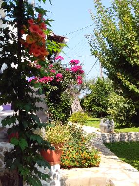 Holiday House in Psaras (Kerkyra) or holiday homes and vacation rentals