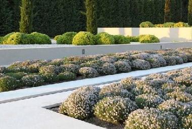 Holiday House in Antibes (Alpes-Maritimes) or holiday homes and vacation rentals