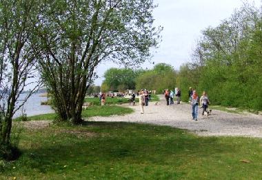 Enjoying the waterfront of Lake Wolderwijd