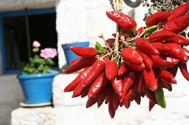 Holiday House in Ostuni (Brindisi) or holiday homes and vacation rentals
