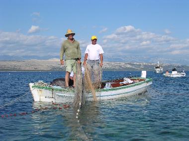 Holiday Apartment in Mandre (Zadarska) or holiday homes and vacation rentals