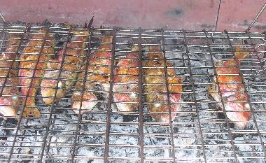 Holiday Apartment in Mandre (Zadarska) or holiday homes and vacation rentals