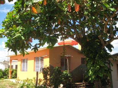 Holiday House in vinales (Pinar del Rio) or holiday homes and vacation rentals