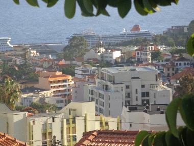 Holiday Apartment in Funchal (Madeira) or holiday homes and vacation rentals