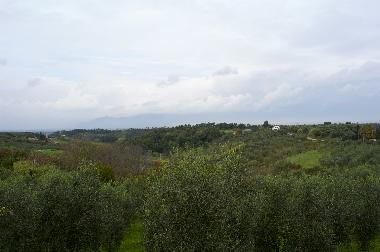 Holiday House in Lari (Pisa) or holiday homes and vacation rentals