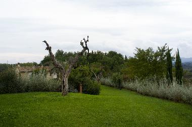 Holiday House in Lari (Pisa) or holiday homes and vacation rentals