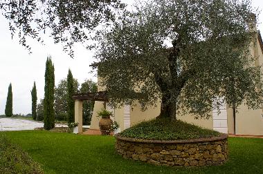 Holiday House in Lari (Pisa) or holiday homes and vacation rentals