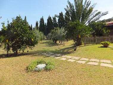 Holiday House in CHIA (Cagliari) or holiday homes and vacation rentals