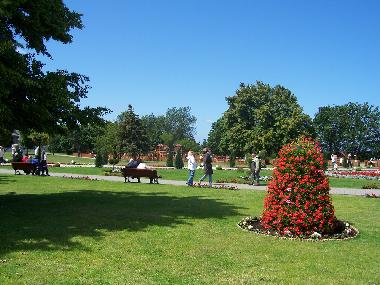 Holiday Apartment in Miedzyzdroje (Pomorskie) or holiday homes and vacation rentals