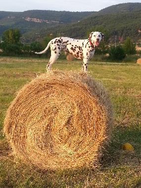 Holiday House in La Tour sur Orb/La Plane (H�rault) or holiday homes and vacation rentals