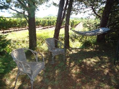 Holiday House in La Tour sur Orb/La Plane (H�rault) or holiday homes and vacation rentals