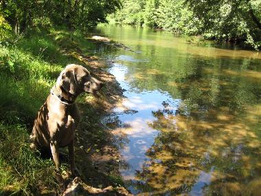 Holiday House in La Tour sur Orb/La Plane (H�rault) or holiday homes and vacation rentals