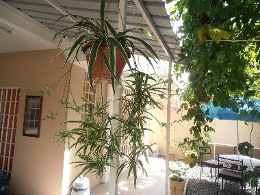 Holiday House in Pereybere (Pereybere) or holiday homes and vacation rentals