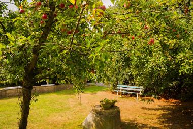 Holiday House in Kervenheim / Kevelaer (Niederrhein) or holiday homes and vacation rentals