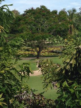 Holiday House in Katu (Phuket) or holiday homes and vacation rentals