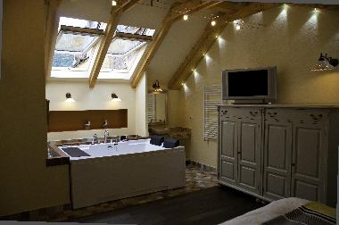 Villa in Brasov (Brasov) or holiday homes and vacation rentals