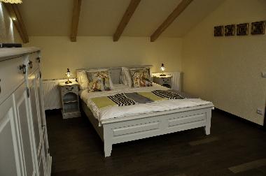 Villa in Brasov (Brasov) or holiday homes and vacation rentals