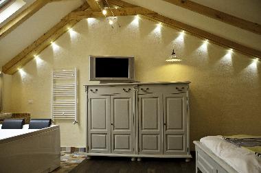 Villa in Brasov (Brasov) or holiday homes and vacation rentals