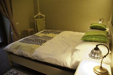 Villa in Brasov (Brasov) or holiday homes and vacation rentals