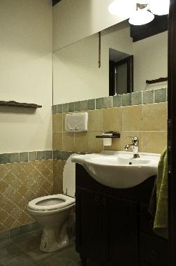 Villa in Brasov (Brasov) or holiday homes and vacation rentals