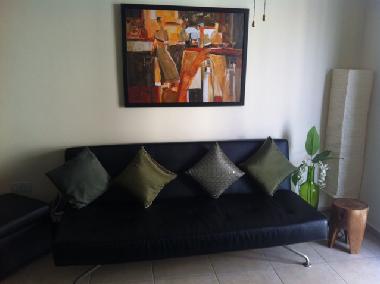 Living Room area (sofa bed)